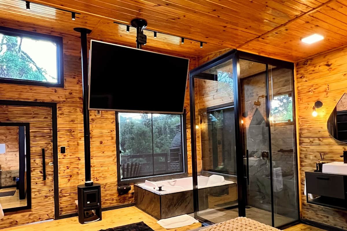Un intérieur en bois comprenant un lit, un téléviseur, une cheminée et une cabine de douche en verre.