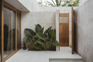 Un espacio exterior moderno con un muro de hormigón, una puerta de madera y plantas verdes grandes.