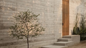Un edificio moderno con fachada de concreto, un panel de madera a la derecha y un pequeño árbol en primer plano.