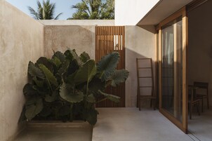 Un espacio exterior moderno con una planta grande en maceta, una puerta de madera y una puerta de cristal que da a una habitación con sillas.