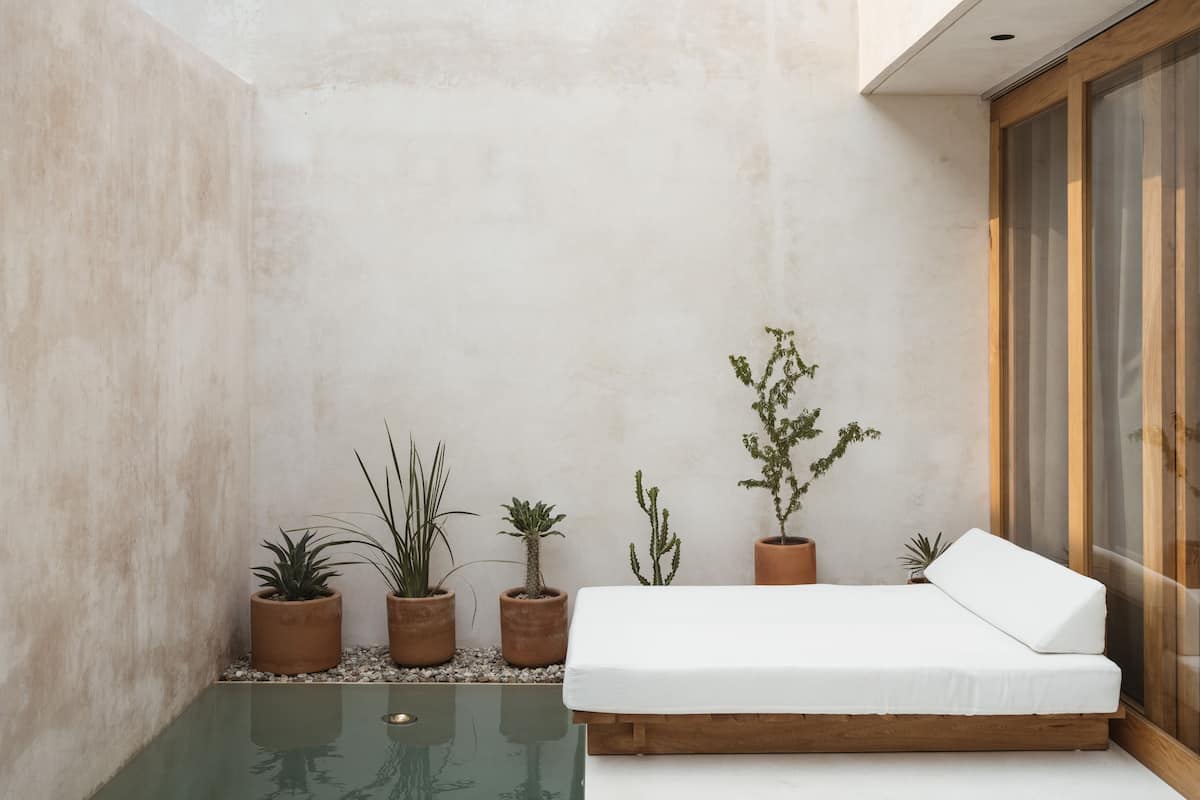 Una habitación minimalista con una cama, plantas en macetas y una pequeña piscina.