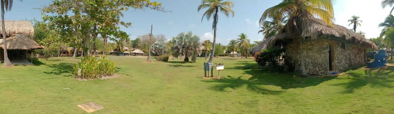 A tropical setting with thatched-roof huts, palm trees, and a grassy area.