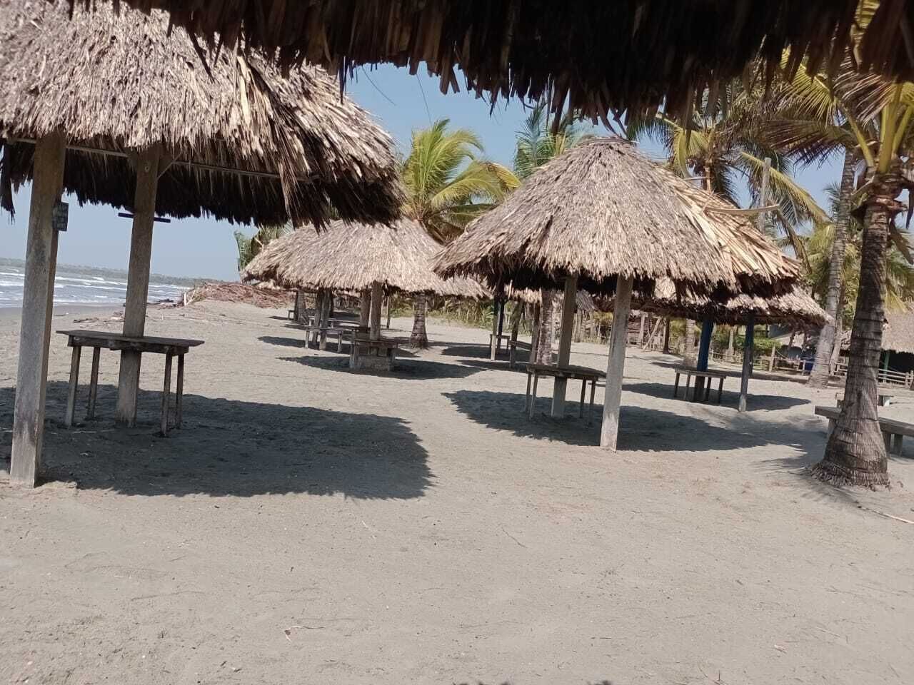 Una playa con sombrillas de paja y bancos de madera.
