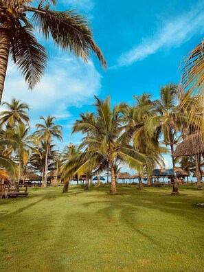 A tropical resort with palm trees, a well-maintained lawn, and thatched-roof huts. - Hotel Rancherio Shangai (Moñitos)