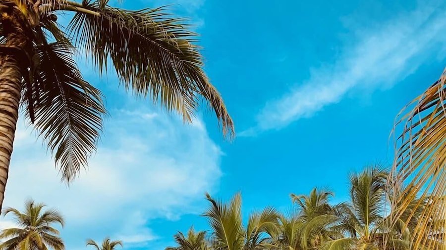 Hotel Rancherio Shangai