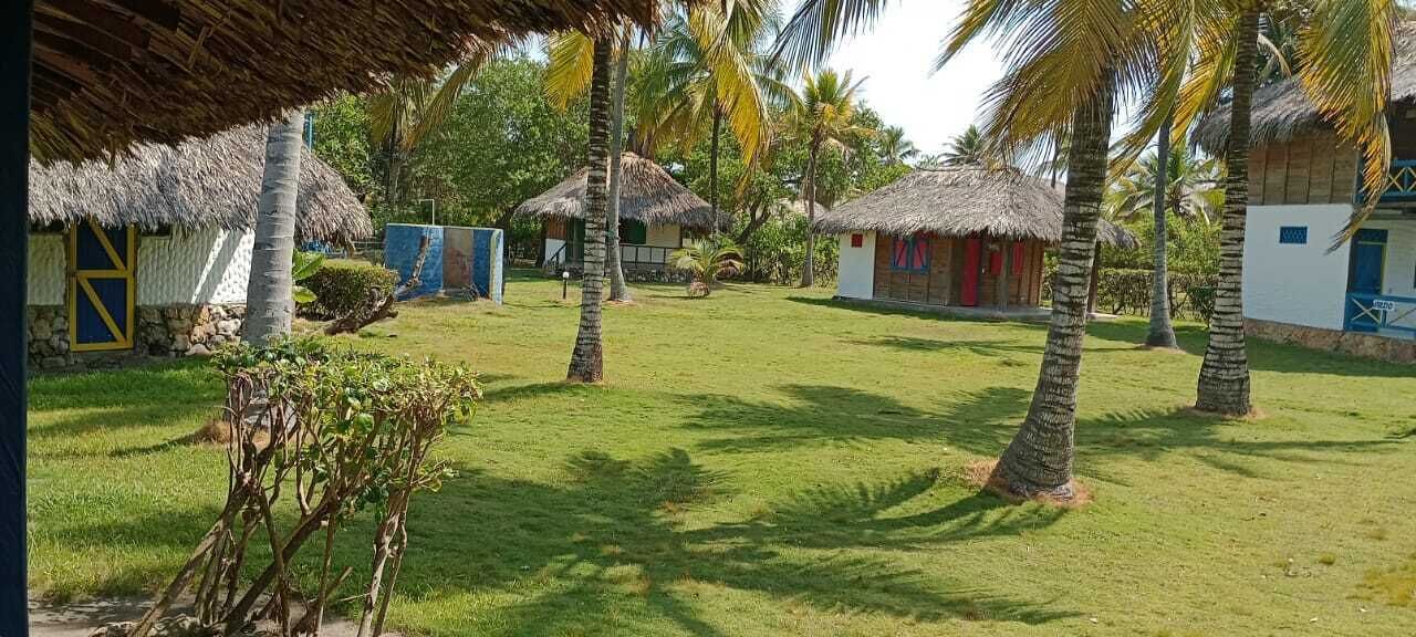 Un resort tropical con cabañas de techo de paja, palmeras y un césped bien cuidado.