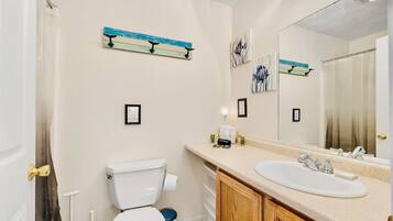 Hair dryer, towels, soap, shampoo