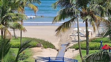 Apartment | Beach | On the beach, white sand, beach umbrellas, beach bar