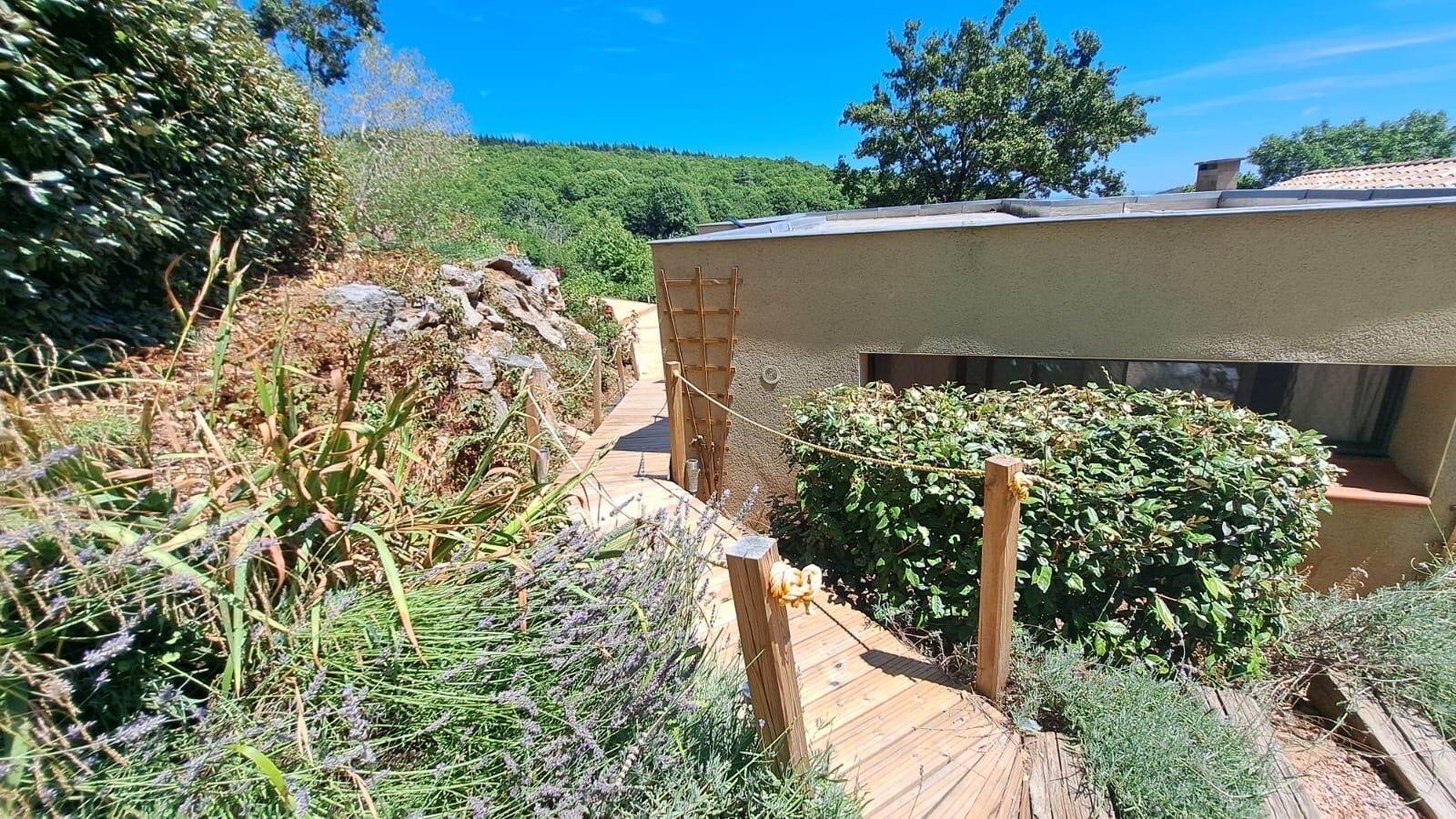 A garden pathway leading to a building with a sloped roof.