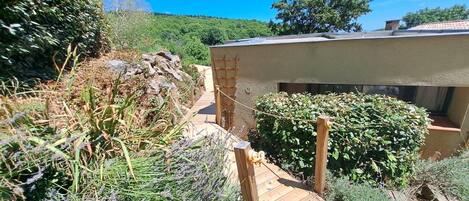 A garden pathway leading to a building with a sloped roof.