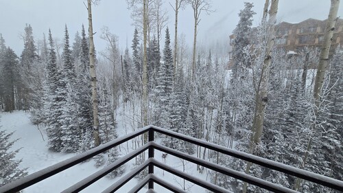 So much snow! Private Hot Tub & Sauna. Walk to Four Lifts. Sleeps 12