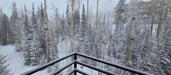 So much snow! Private Hot Tub & Sauna. Walk to Four Lifts. Sleeps 12