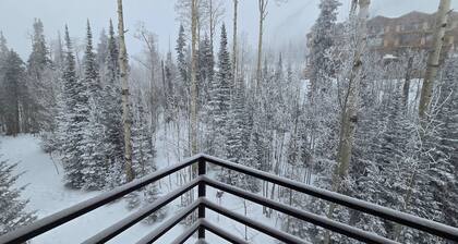 So much snow! Private Hot Tub & Sauna. Walk to Four Lifts. Sleeps 12