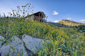 Exterior - Alto Vista Escape - Hot tub - Private Sauna (Alto)