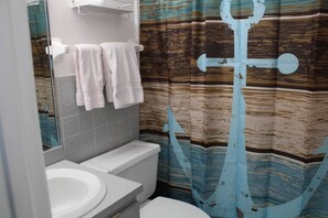 Douche, sèche-cheveux, serviettes fournies, savon