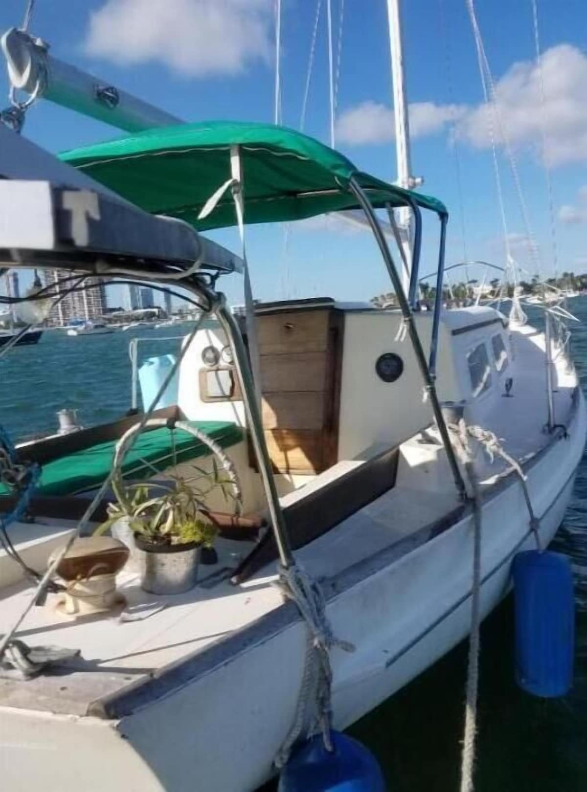 オーナーのプロフィール画像