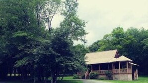 Une cabane en bois dotée d’un porche, entourée d’arbres et d’herbe d’un vert luxuriant.