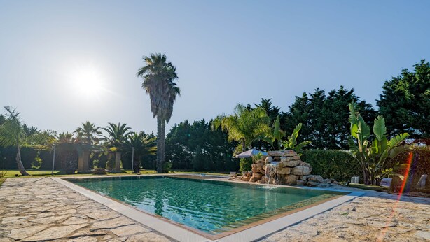 A rectangular swimming pool with a stone border, surrounded by a garden with various trees and plants.