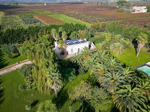 Una casa blanca con paneles solares, rodeada de abundante vegetación y palmeras.