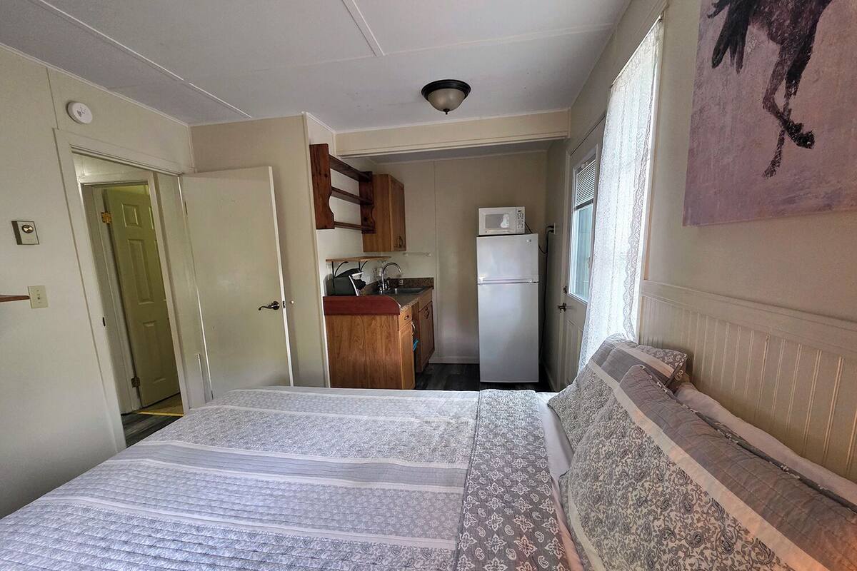 A bedroom with a bed, a window with a curtain, a kitchen area with a microwave and refrigerator, and a door leading to another room.