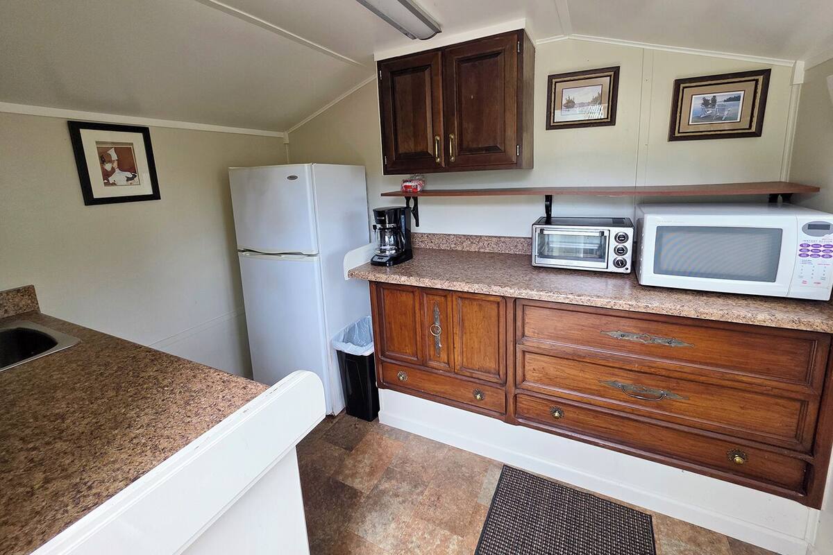 A compact kitchen with a refrigerator, microwave, coffee maker, wooden cabinets, and two framed pictures on the wall.