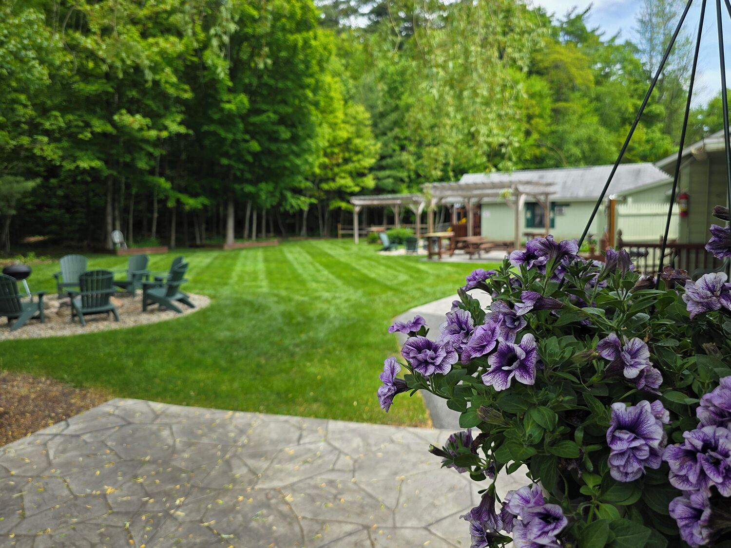 Cabin, Mountain View | Terrace/patio