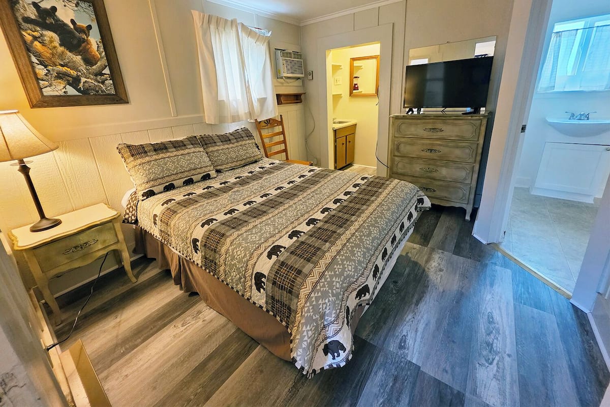 A bedroom with a bed, a nightstand, a dresser, a television, and a painting on the wall.