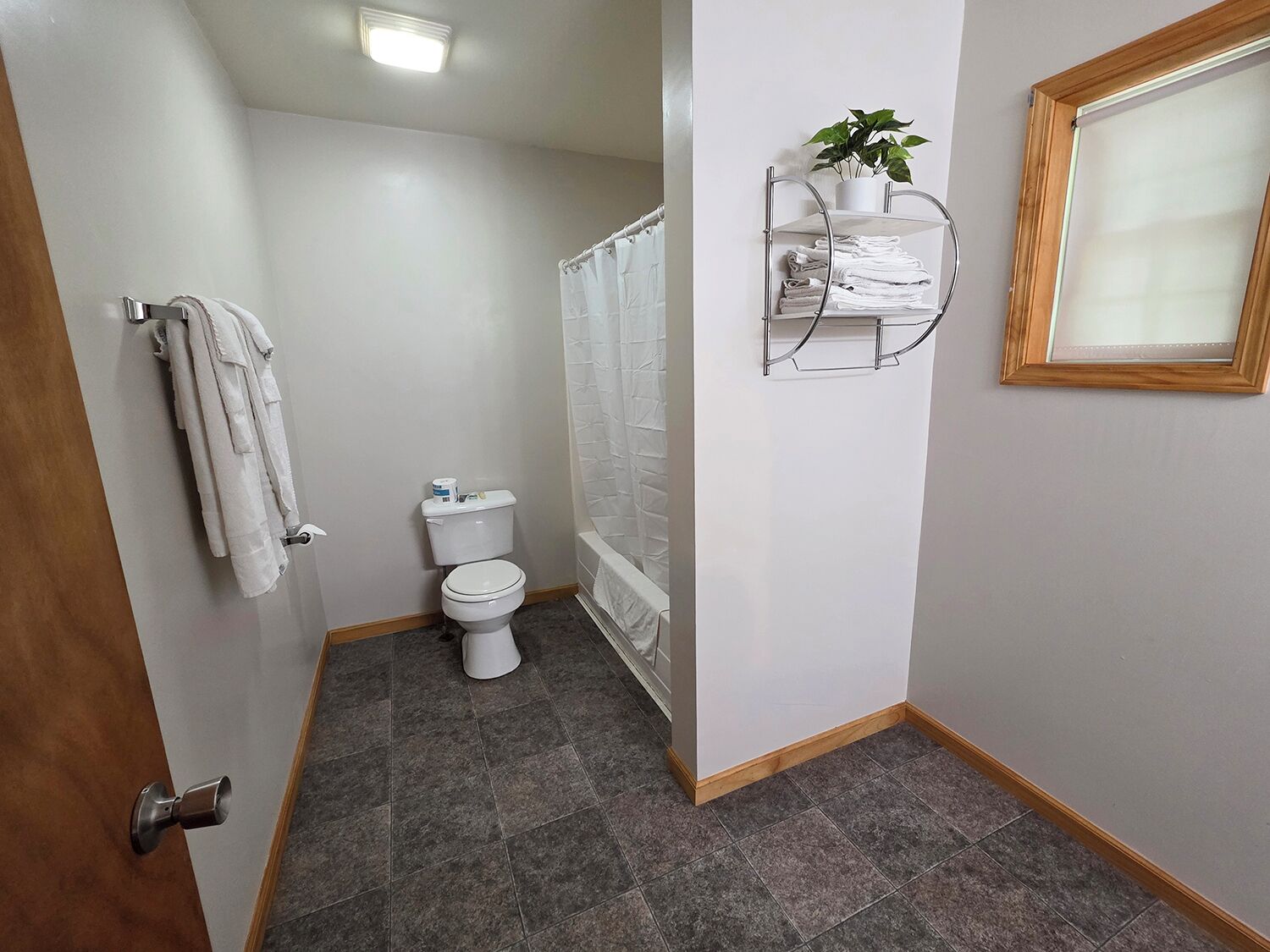 Un baño pequeño con inodoro, cortina de ducha, toallero y una planta en un estante.