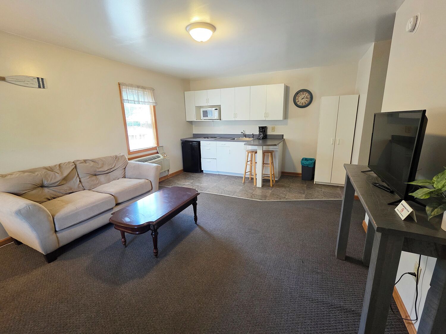 A compact living space with a sofa, a coffee table, a kitchenette, a TV, and a small plant.