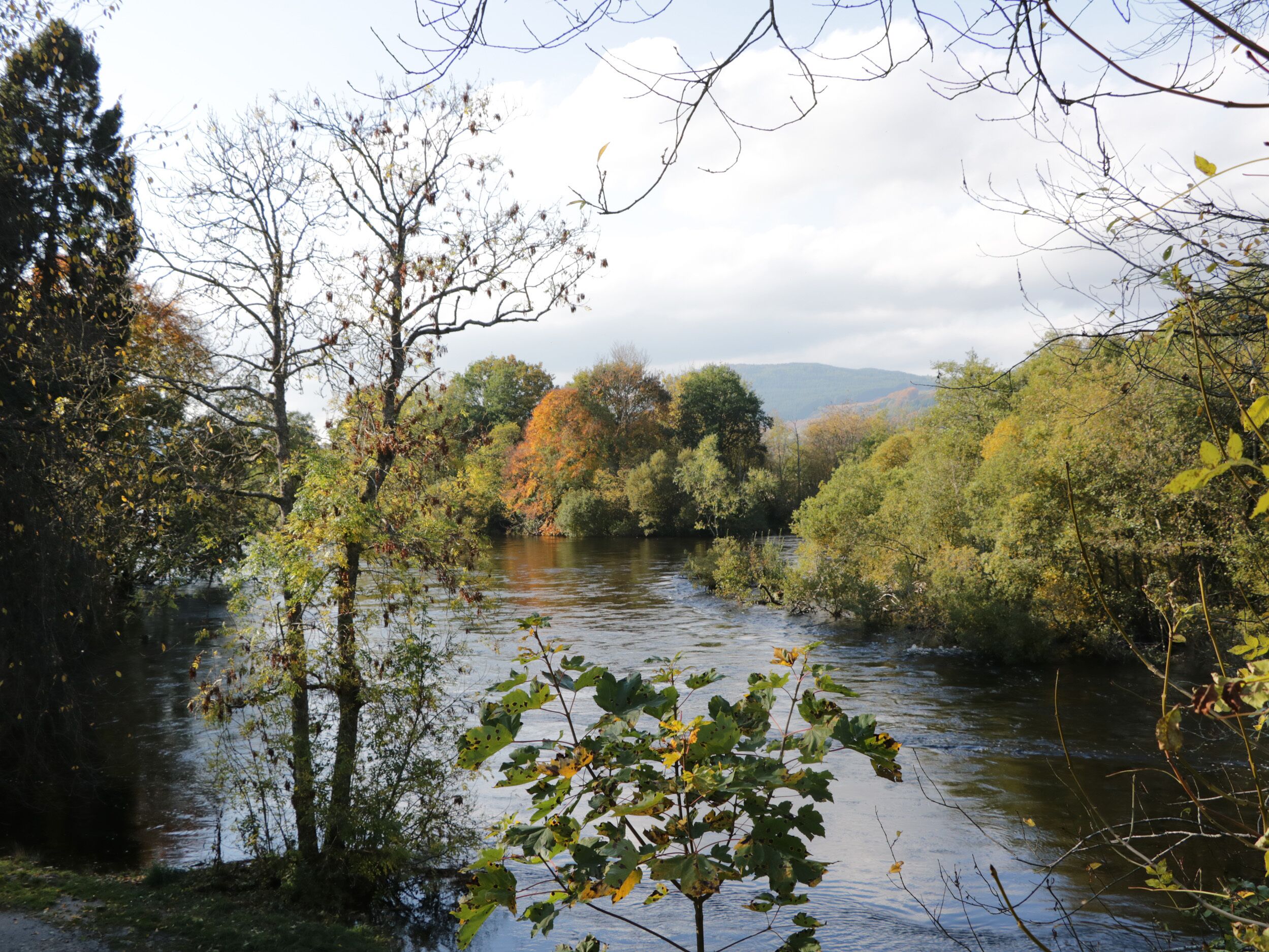 A river surrounded by trees with autumn foliage.