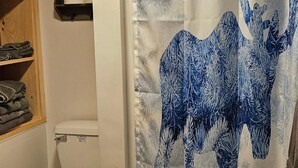 Ducha, secador de pelo, toallas, jabón