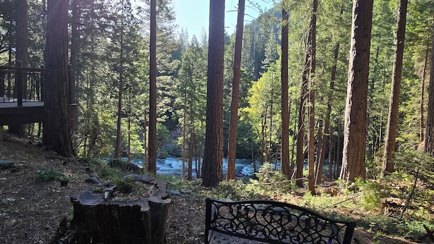 A forested area with a wooden bench and a viewing platform. - Yuba River Inn (Sierra City)