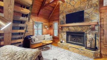 TV, fireplace, books