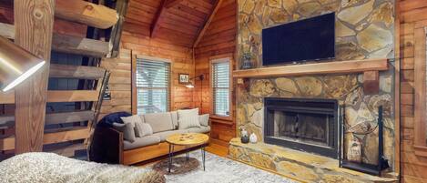 TV, fireplace, books