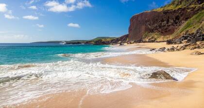 Hawaiian Paradise Getaway. Walk to the beach