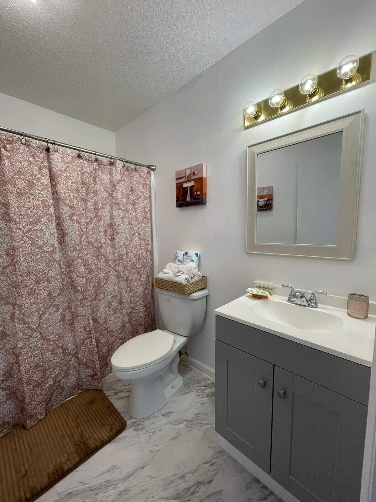 Une salle de bain équipée d’un WC, d’un lavabo, d’un miroir avec éclairage et d’un rideau de douche.