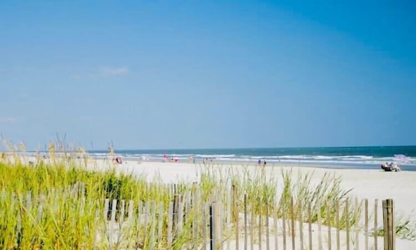 Strand
