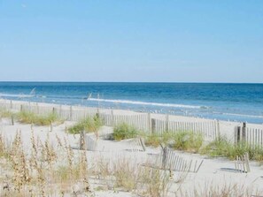 A beach with a wooden fence and sand dunes.