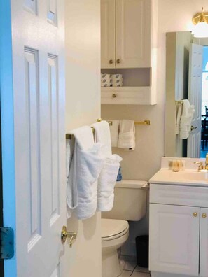 Shower, hair dryer