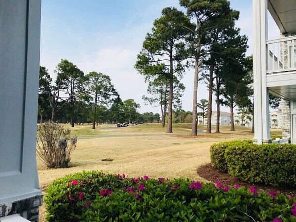Property grounds - Quiet comfortable and cozy vacational condo! (Myrtle Beach)