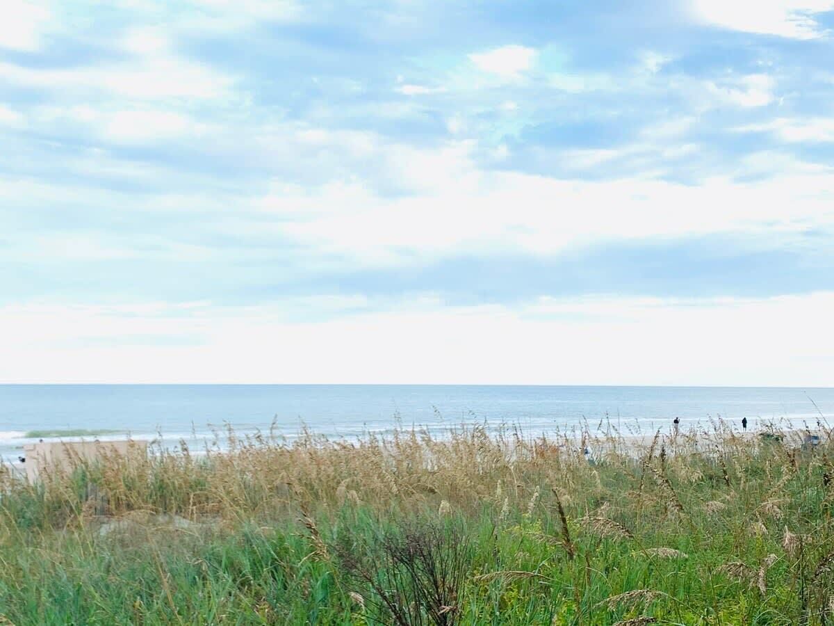 Een strand met grasduinen en de oceaan op de achtergrond.