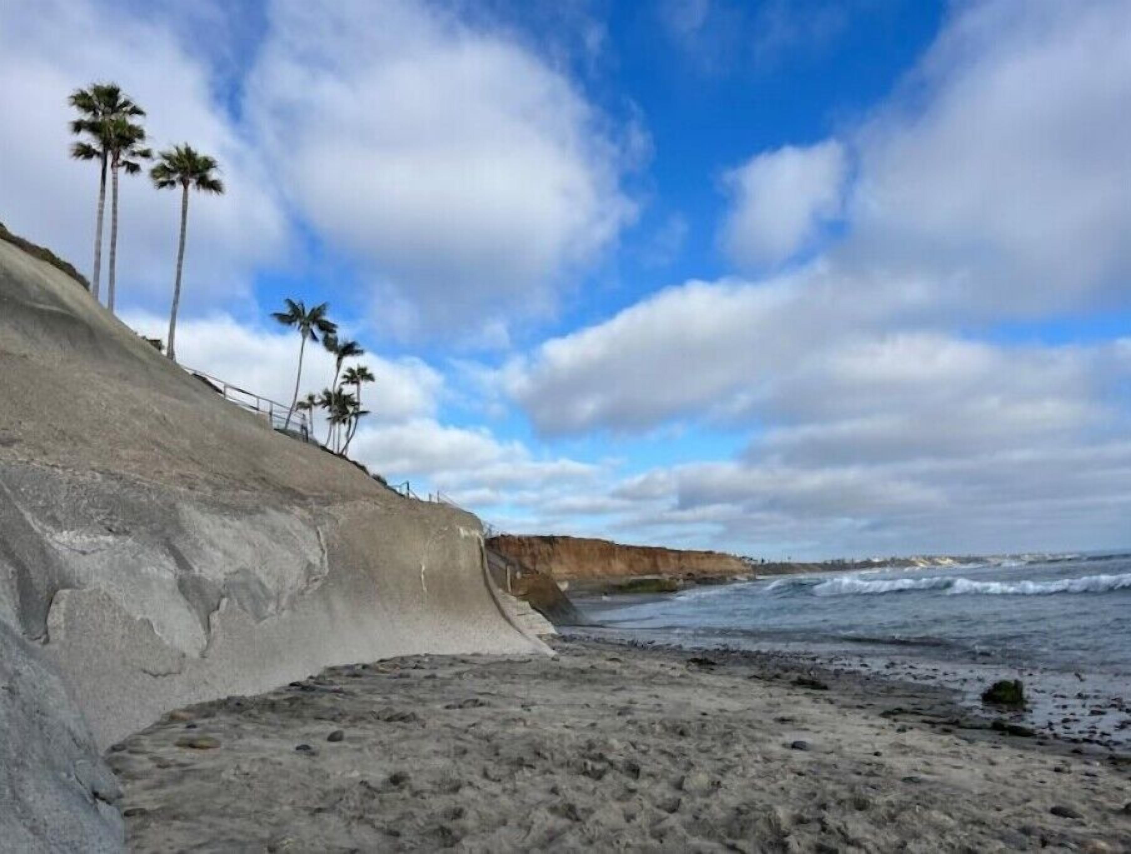 Ein Strand mit einer Betonbarriere, Palmen und dem Meer.