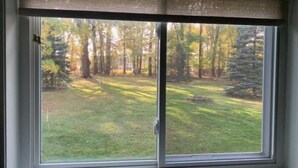 A window with a view of a grassy yard and trees.