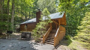 A cabin with a wooden staircase leading to a metal door, surrounded by dense forest. - Serene Wooded Family Mtn. Cabin- Great Location next to everything- Pet Friendly (Pigeon Forge)