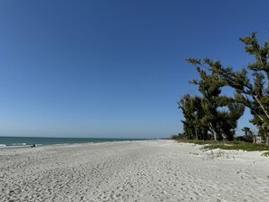 Una playa con cielo despejado, orilla de arena y árboles.
