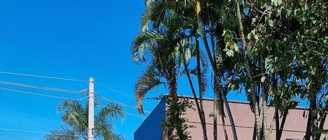 Piscine extérieure, piscine chauffée, chaises longues