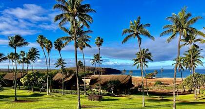 Aloha! Hawaii. Walk to the beach