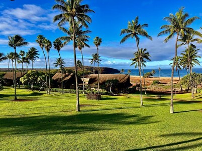 Aloha! Hawaii. Walk to the beach
