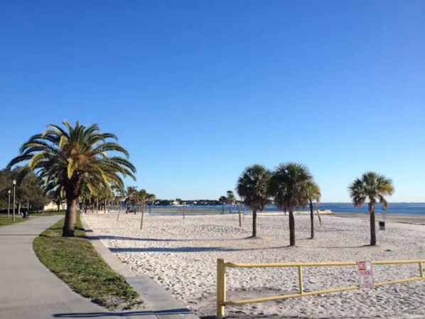 A beach with a paved walkway, palm trees, and a sandy area. - (3) 320 Unit #3 · Downtown St. Pete/Historic Old NE #3 (St. Petersburg)