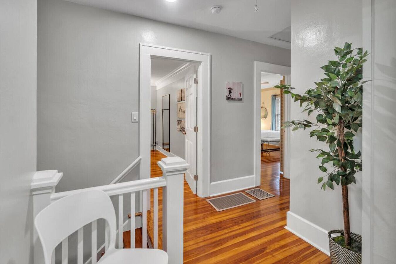 A hallway with white railings, wooden flooring, and a potted plant.